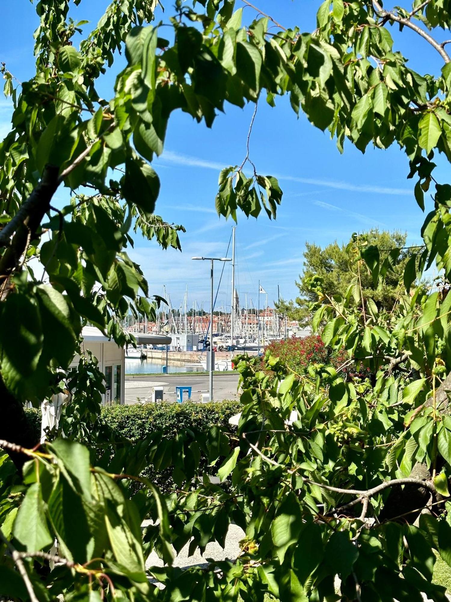 Apartma Nona Ana Appartement Izola